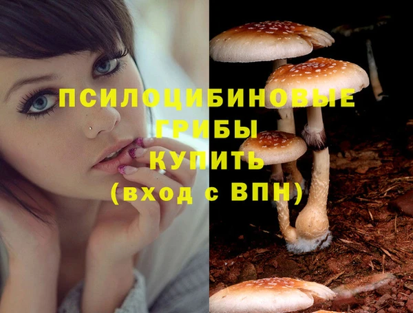 МДПВ Алзамай