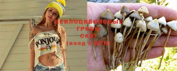 МДПВ Алзамай